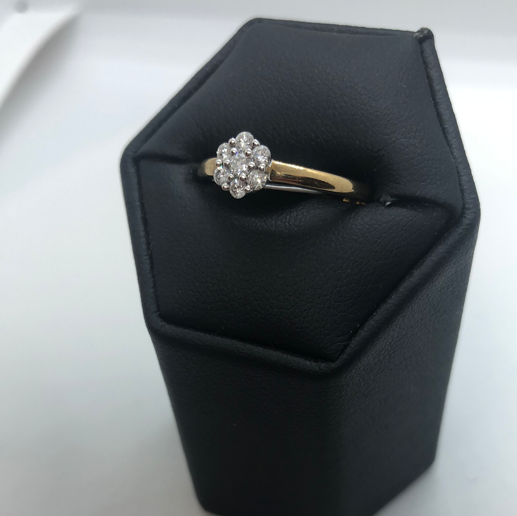 9ct Gold and Diamond Cluster Ring